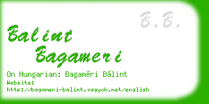 balint bagameri business card